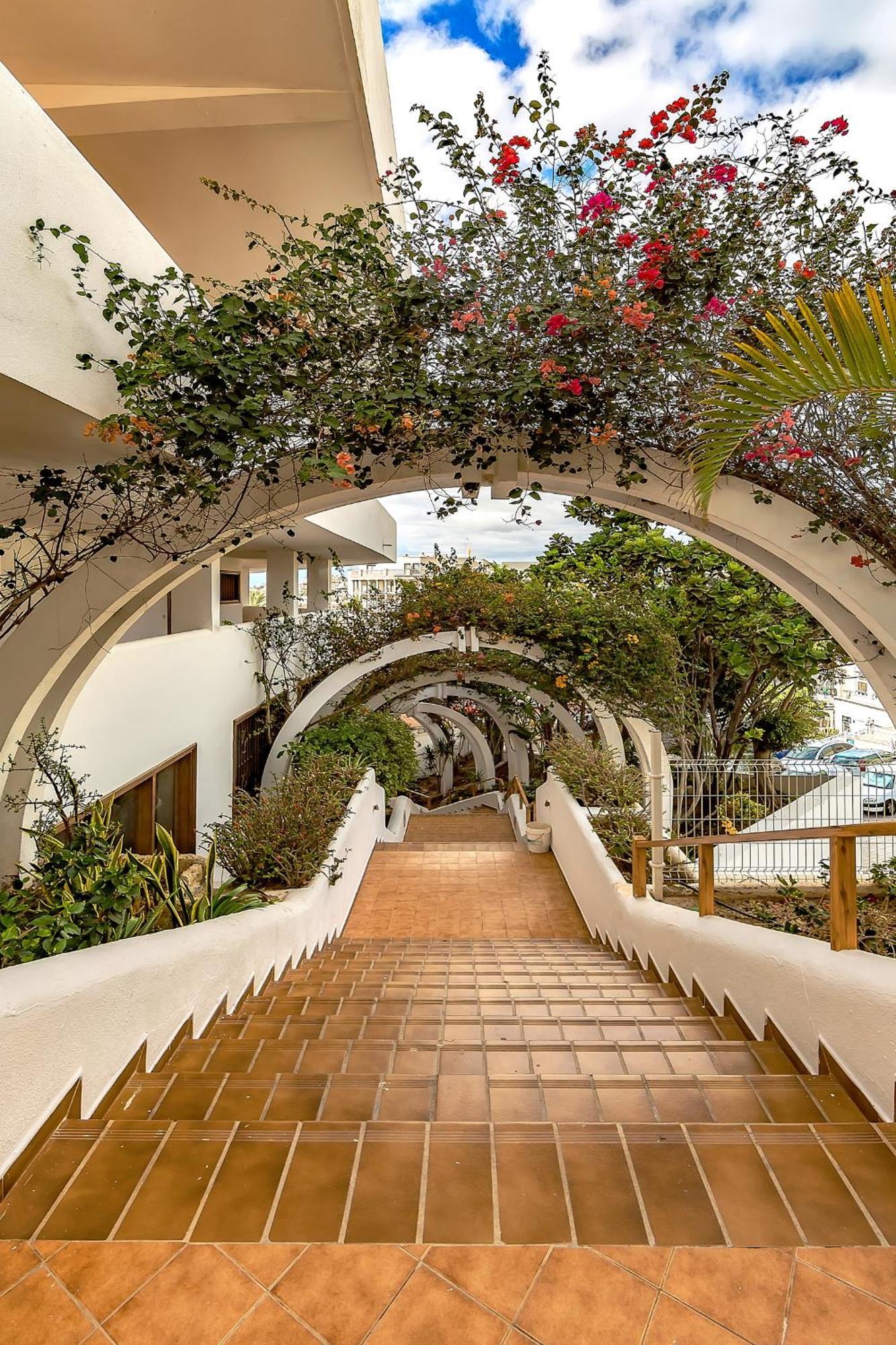 Ocean View Apartments In Park Royal I Costa Adeje  Esterno foto